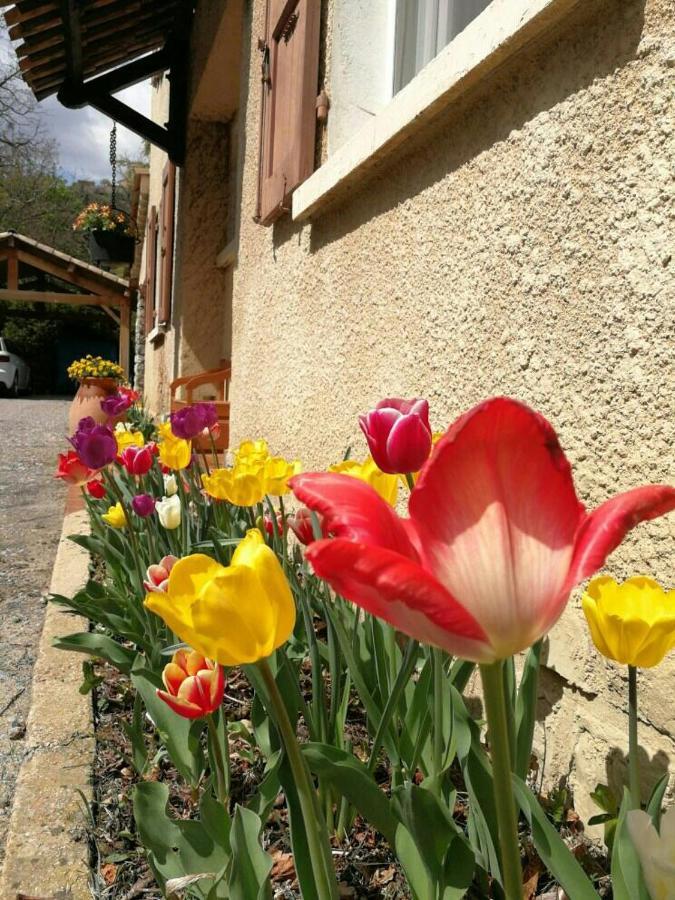 Maison 3 Etoiles Avec Jardin Pour Familles, Sportifs, Curistes... Digne-les-Bains Eksteriør billede