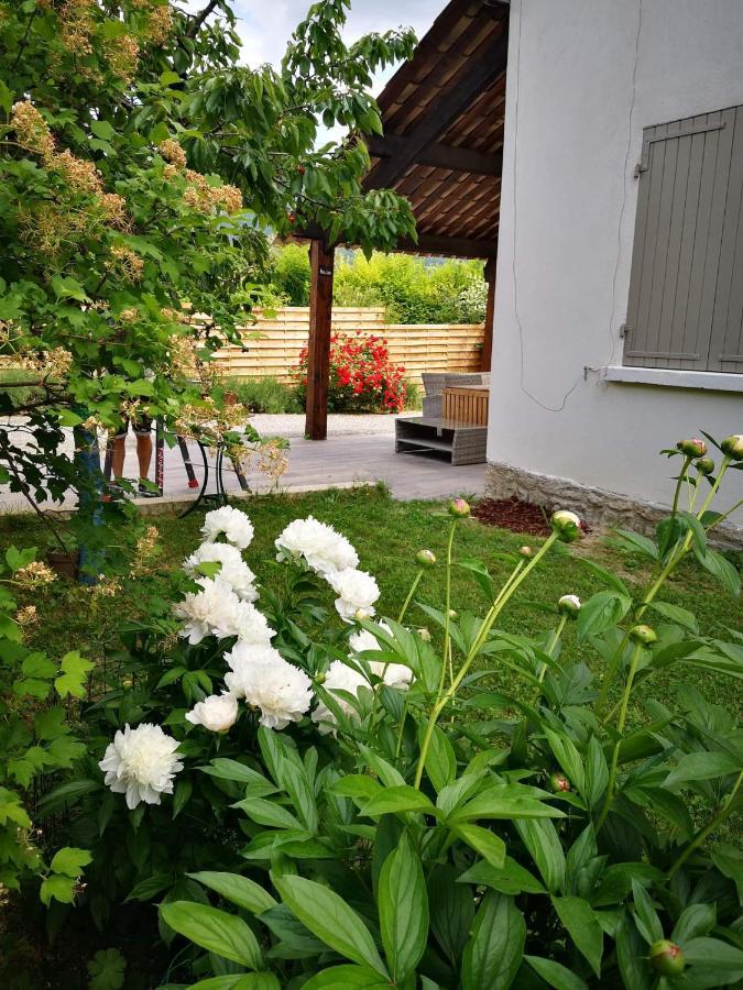 Maison 3 Etoiles Avec Jardin Pour Familles, Sportifs, Curistes... Digne-les-Bains Eksteriør billede
